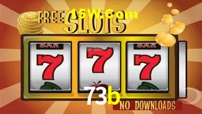 73b